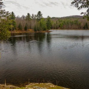 View of a lake with evergreen lining the banks.