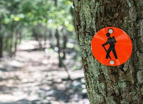 orange trail marker with a hiking icon nailed to tree along a trail