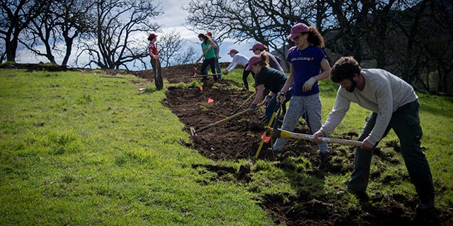 Get Involved like this group of college students building a new trail during their spring break.